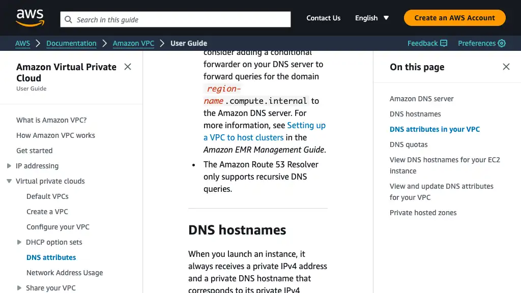 DNS attributes for your VPC - Amazon Virtual Private Cloud